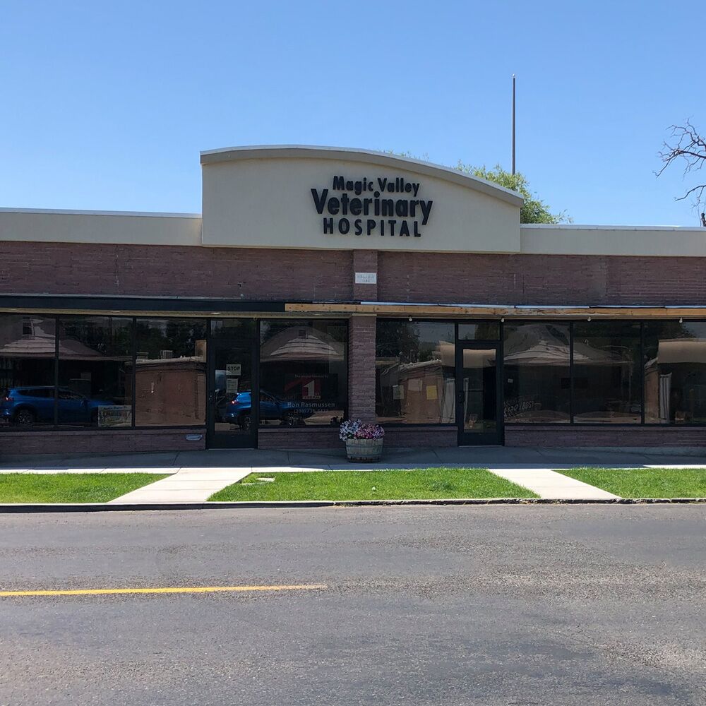 South valley sale veterinary clinic